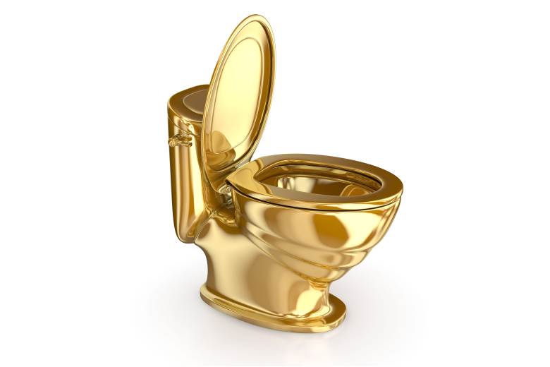 Britský soud poslal do vězení dva zloděje zlaté záchodové mísy