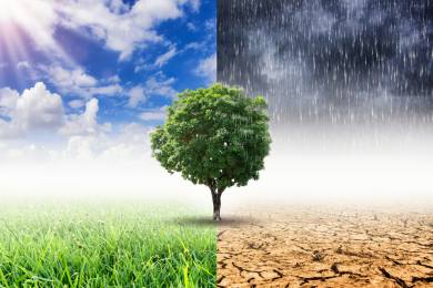 Bloomberg: Změny klimatu a extrémní počasí zdražují potraviny i pojištění