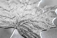 Galerie obrázků k 'Maple Leaf 1 Oz Unc. Investiční stříbrná mince' - Detail č. 2. Kliknutím na obrázek zvětšíte náhled... /translation/CZ/256-2s.jpg