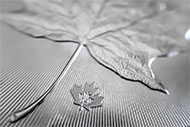 Galerie obrázků k 'Maple Leaf 1 Oz Unc. Investiční stříbrná mince' - Detail č. 3. Kliknutím na obrázek zvětšíte náhled... /translation/CZ/256-3s.jpg