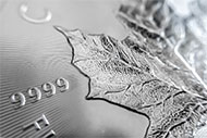 Galerie obrázků k 'Maple Leaf 1 Oz Unc. Investiční stříbrná mince' - Detail č. 4. Kliknutím na obrázek zvětšíte náhled... /translation/CZ/256-4s.jpg